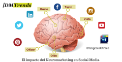 Neuromarketing-y-SocialMediaDMT-700x357